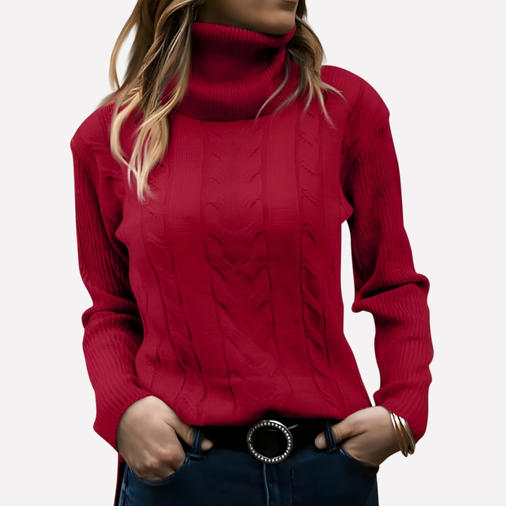 Aeronwy | Women Turtleneck Cable Knit Sweater