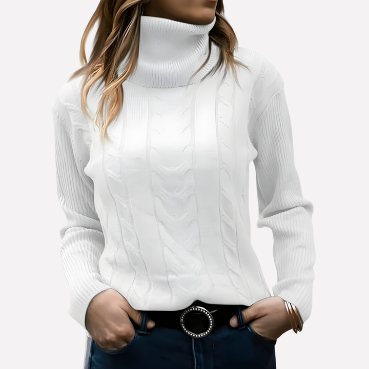 Aeronwy | Women Turtleneck Cable Knit Sweater