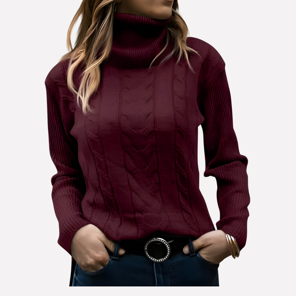 Aeronwy | Women Turtleneck Cable Knit Sweater