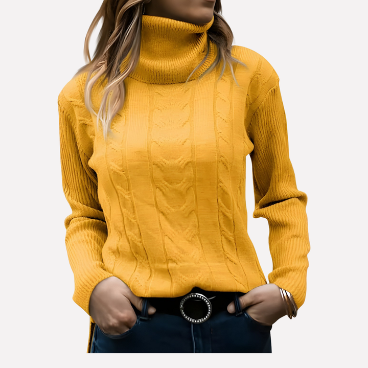 Aeronwy | Women Turtleneck Cable Knit Sweater