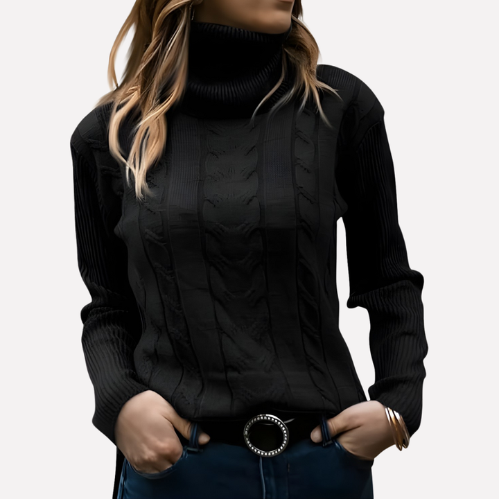 Aeronwy | Women Turtleneck Cable Knit Sweater