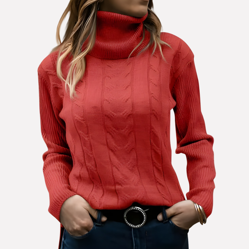 Aeronwy | Women Turtleneck Cable Knit Sweater