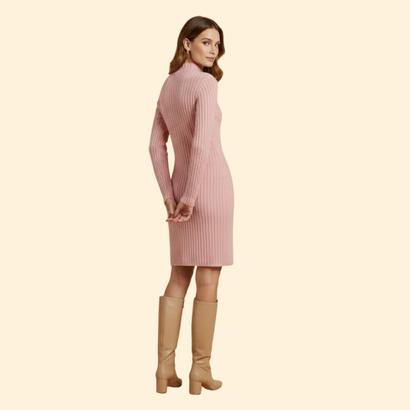 Babette | Women Ribbed High Neck Dress