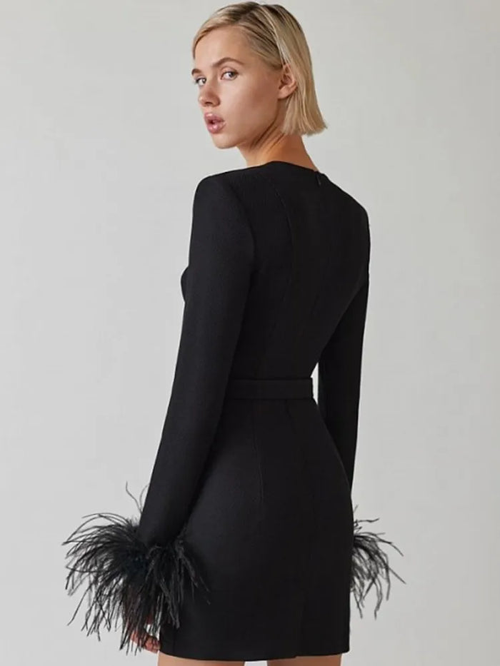 Kitty | Women Feather Cuff Long Sleeve Dress